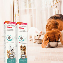 Beaphar Sindirim  Destekleyici Kedi ve Köpek Macunu 20 Ml - 3