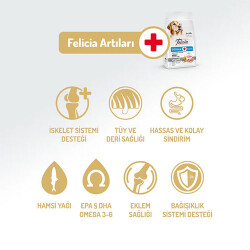 Felicia Hypoallergenic Medium Large Somonlu Düşük Tahıllı Yetişkin Köpek Maması 6 Kg - 3