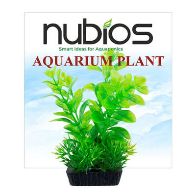Nubios Plastik Bitki Kare Tabanlı Tekli Karton 10 Cm - 1