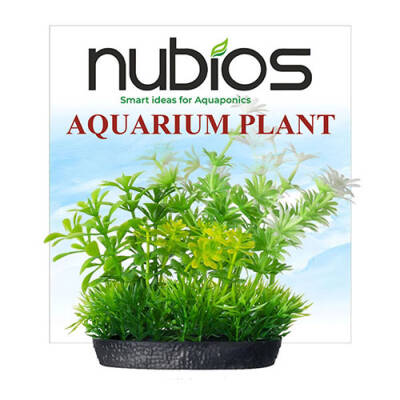 Nubios Plastik Bitki Kare Tabanlı Tekli Karton 10 Cm - 1