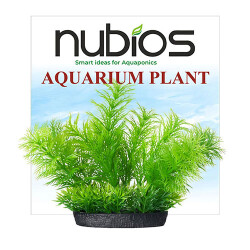 Nubios Plastik Bitki Kare Tabanlı Tekli Karton 10 Cm