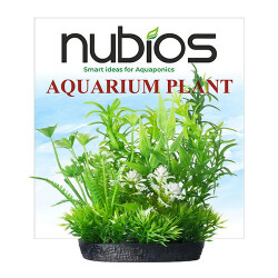 Nubios Plastik Bitki Kare Tabanlı Tekli Karton 10 Cm
