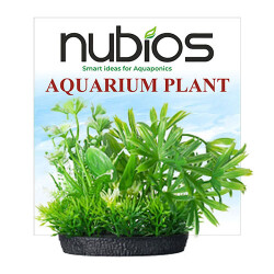 Nubios Plastik Bitki Kare Tabanlı Tekli Karton 10 Cm