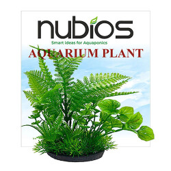 Nubios Plastik Bitki Kare Tabanlı Tekli Karton 17,5 Cm