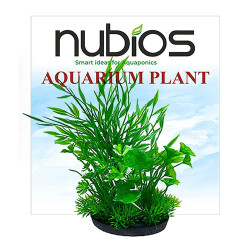 Nubios Plastik Bitki Kare Tabanlı Tekli Karton 17,5 Cm