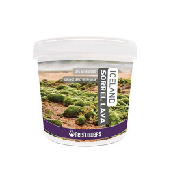 Reeflowers Iceland Sorrel Lava Akvaryum Kumu 1-3mm 15 Kg