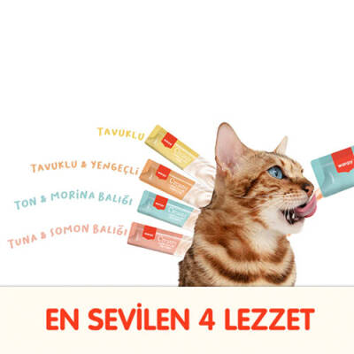 Wanpy Karışık 4 Lezzetli Krema Kedi Ödülü 100x14 Gr - 2